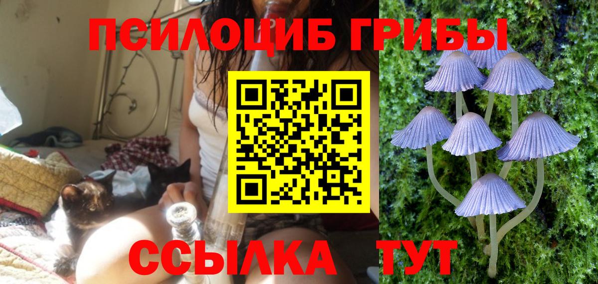 Галлюциногенные грибы мухоморы  закладка  Тулун  Вход с VPN 