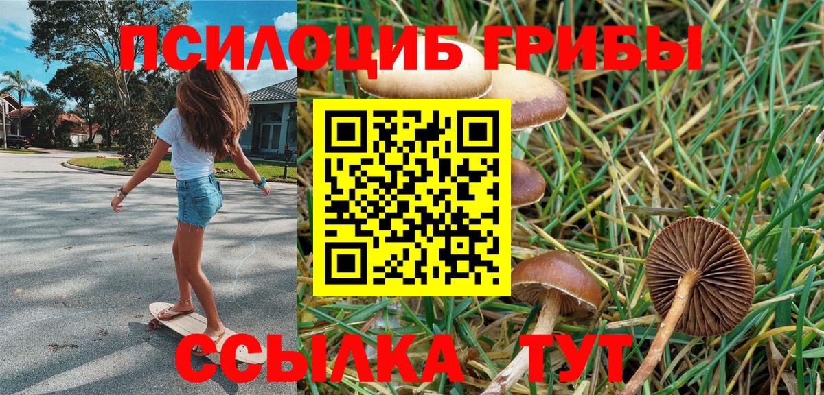 Галлюциногенные грибы Cubensis Тулун